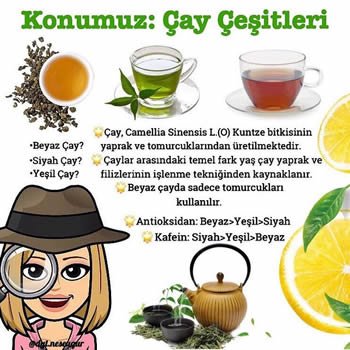 Konumuz: Çay Çeşitleri